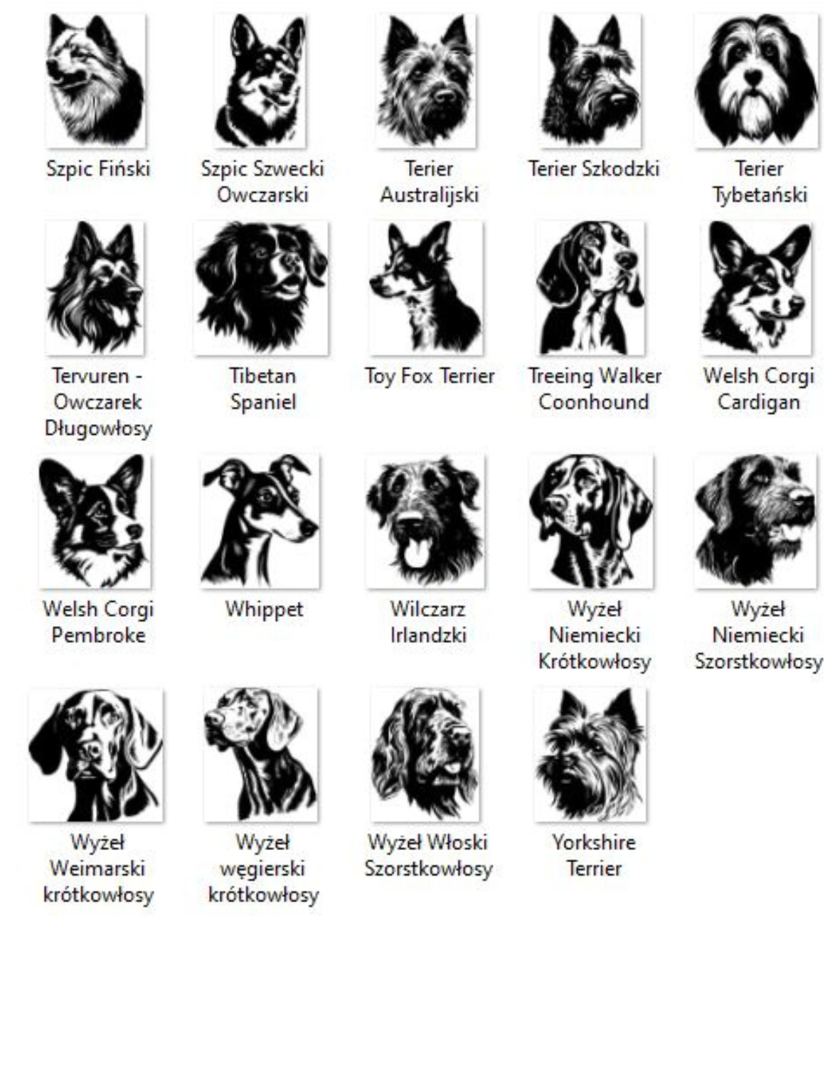 529e544bbf9451823c44ac29210f1b6f.png e7e5e8dd69502b78ff90bf4359bf3d4b
