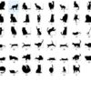 0a7b08fde73f39b55aabe5daf029c6a0
