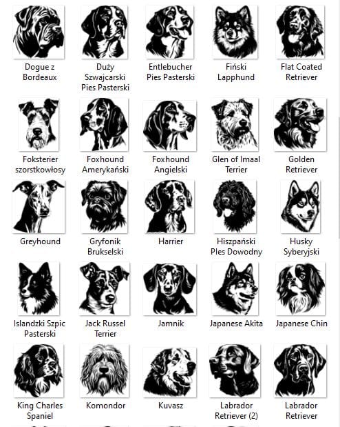 d976cd560a53557cd7affa1a51d44e46