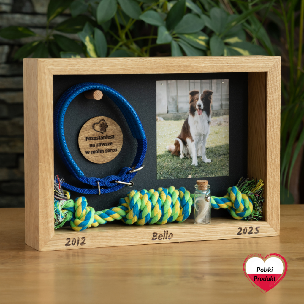 Pamiątka po psie