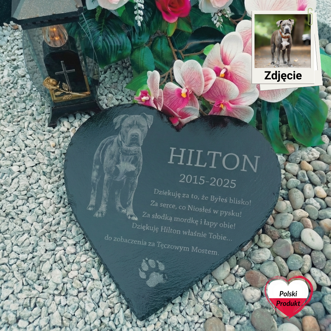 Nagrobek dla psa